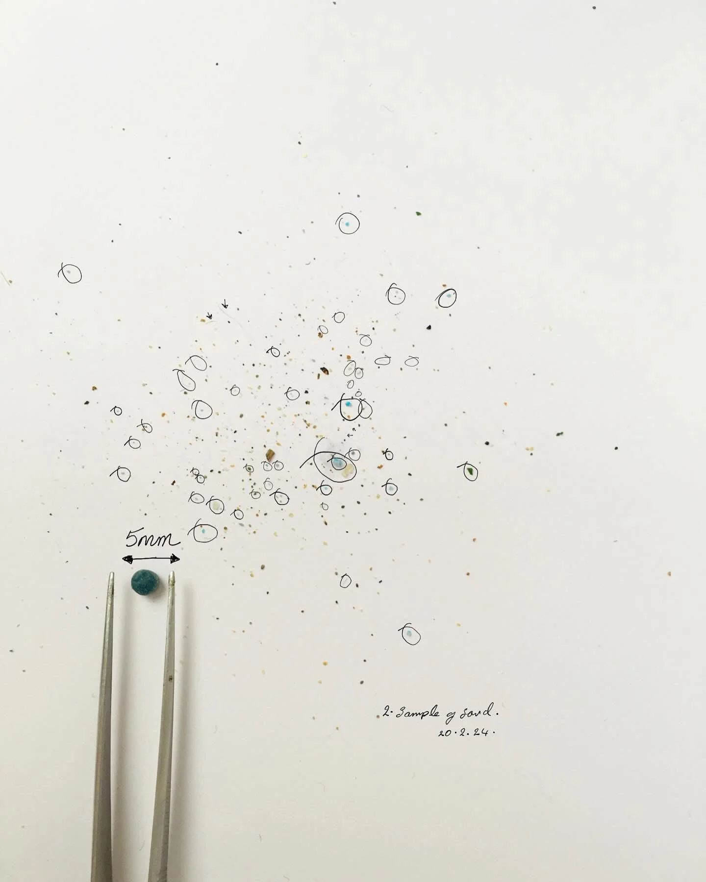 The Microplastic Problem Hits the Global Stage... But Are Governments Still Looking Away?