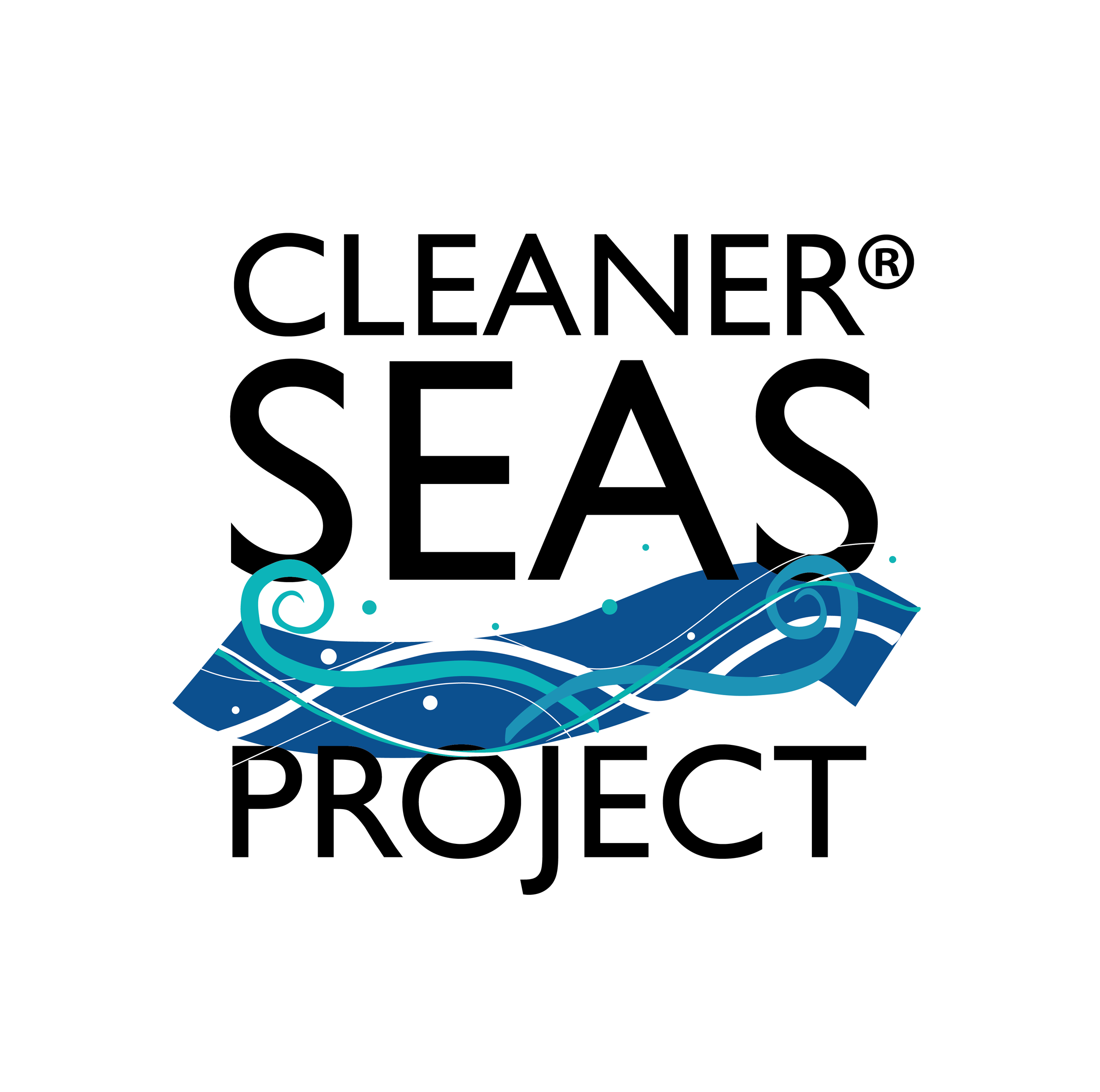 cleaner seas