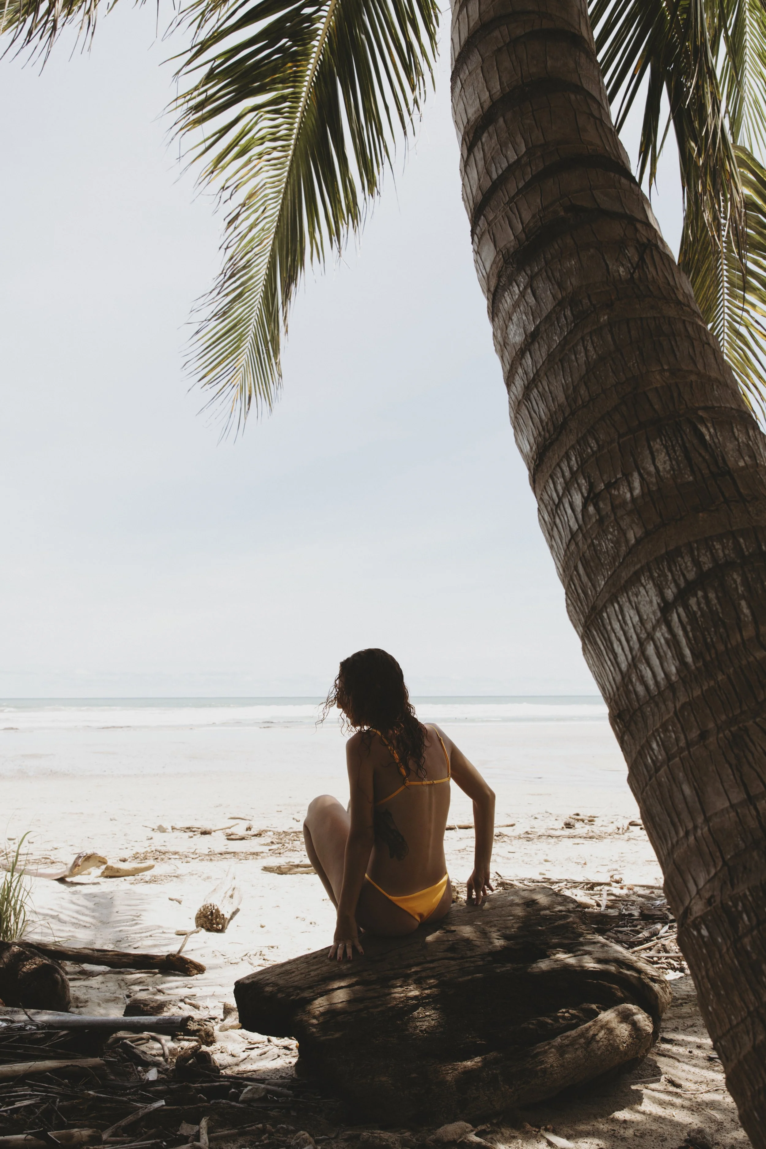 Portuguese Life — Hospitality & Lifestyle