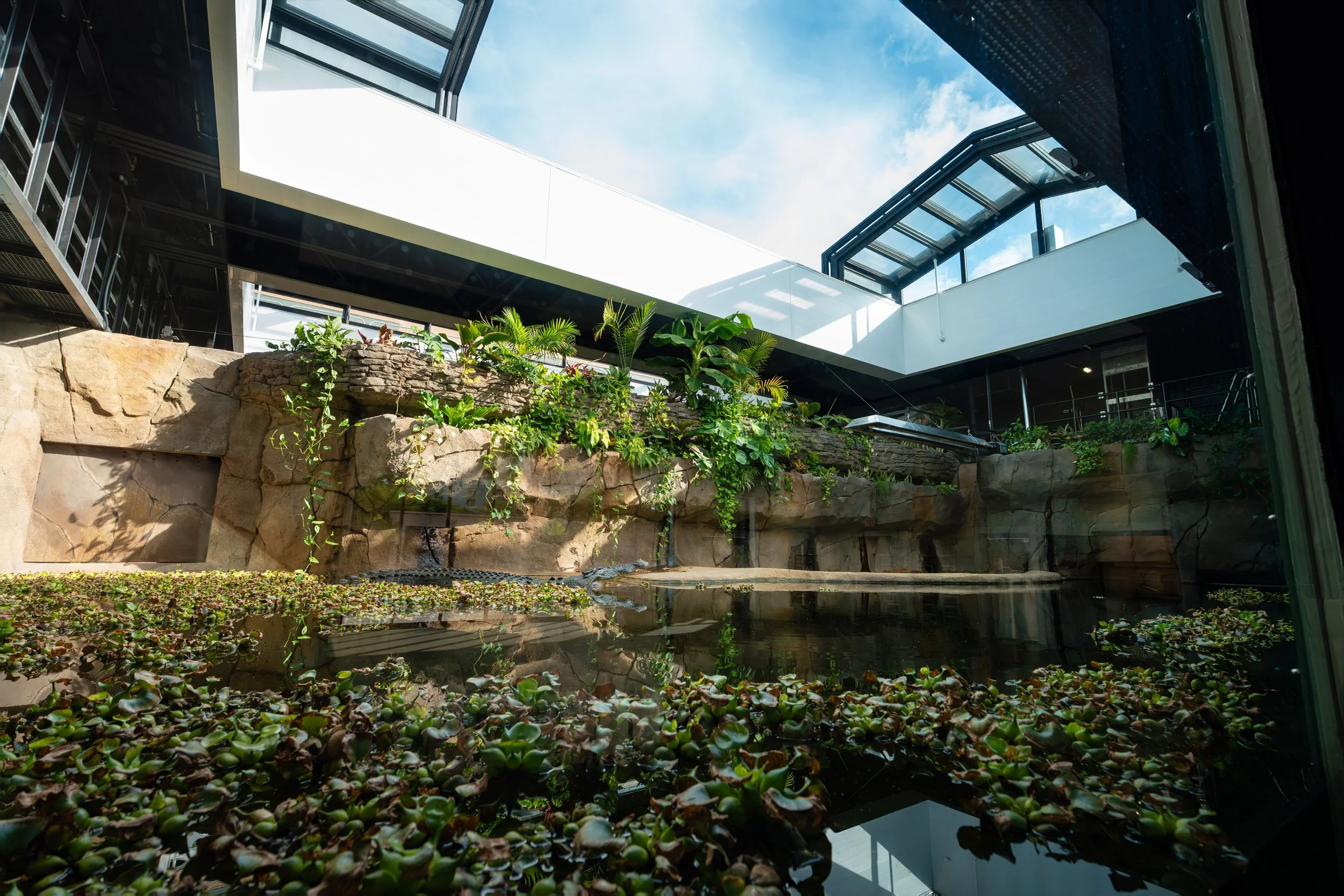 Toledo Zoo &amp; Aquarium Reptile House