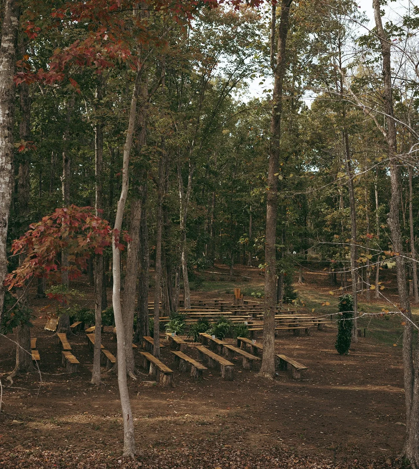 An outdoor amphitheater with wooden tiered seating surrounded by trees in a forested area during daytime.