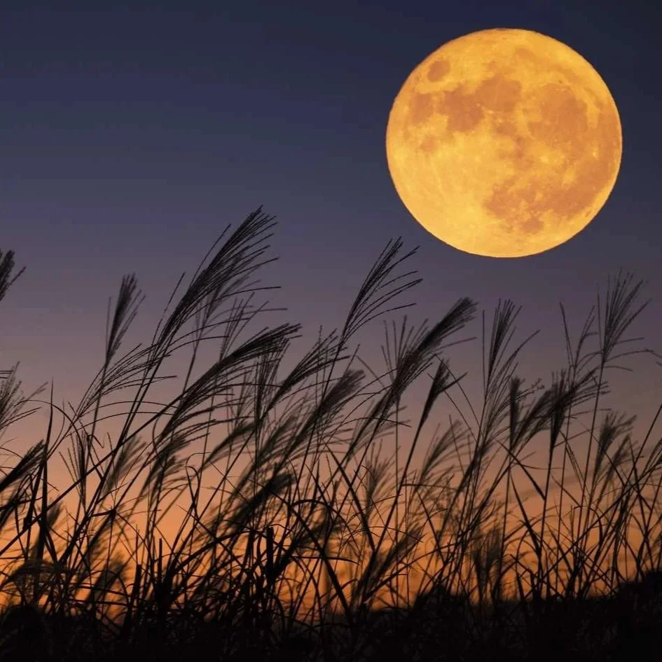 Harvest Moon: Full Moon Gathering