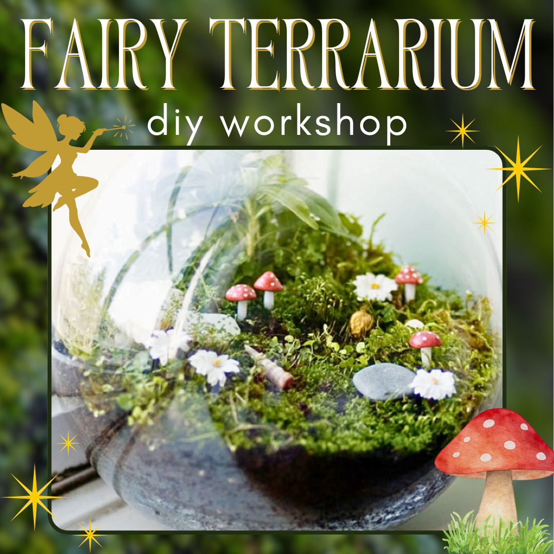 Fairy Terrarium DIY Workshop