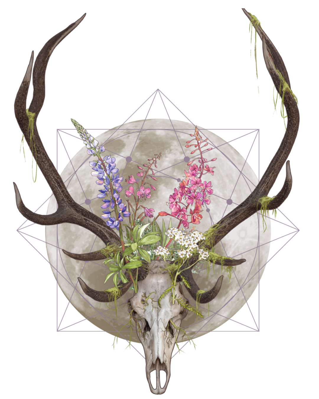stag &amp; moon