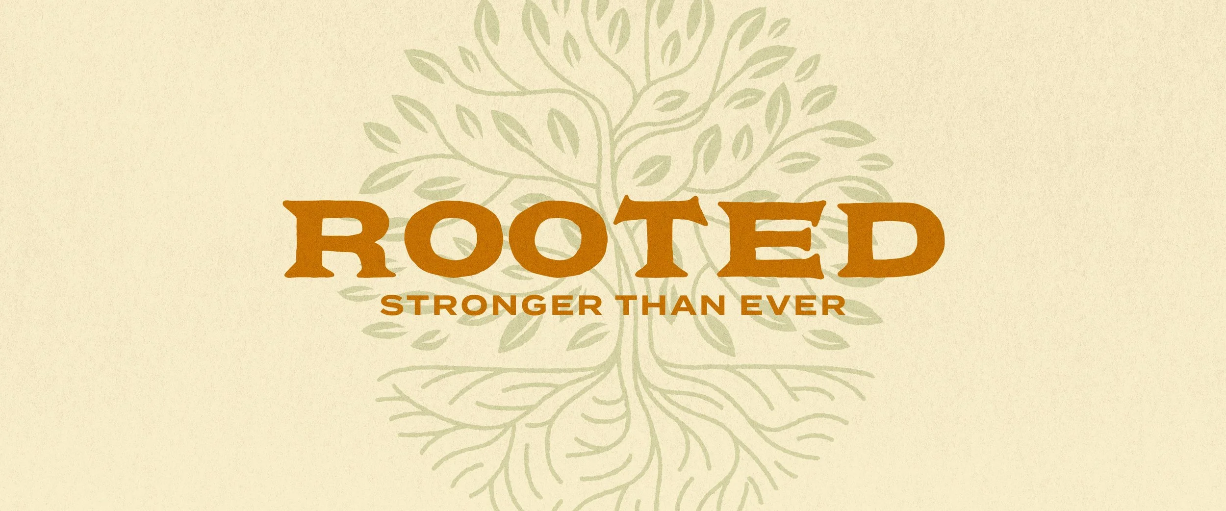Rooted: Better Than Ever