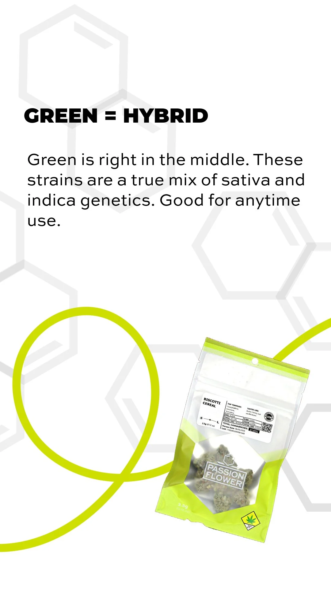 PF_Socials_Carousel_ROYGBIV_June2025_REEL-CROP-5 2.JPEG