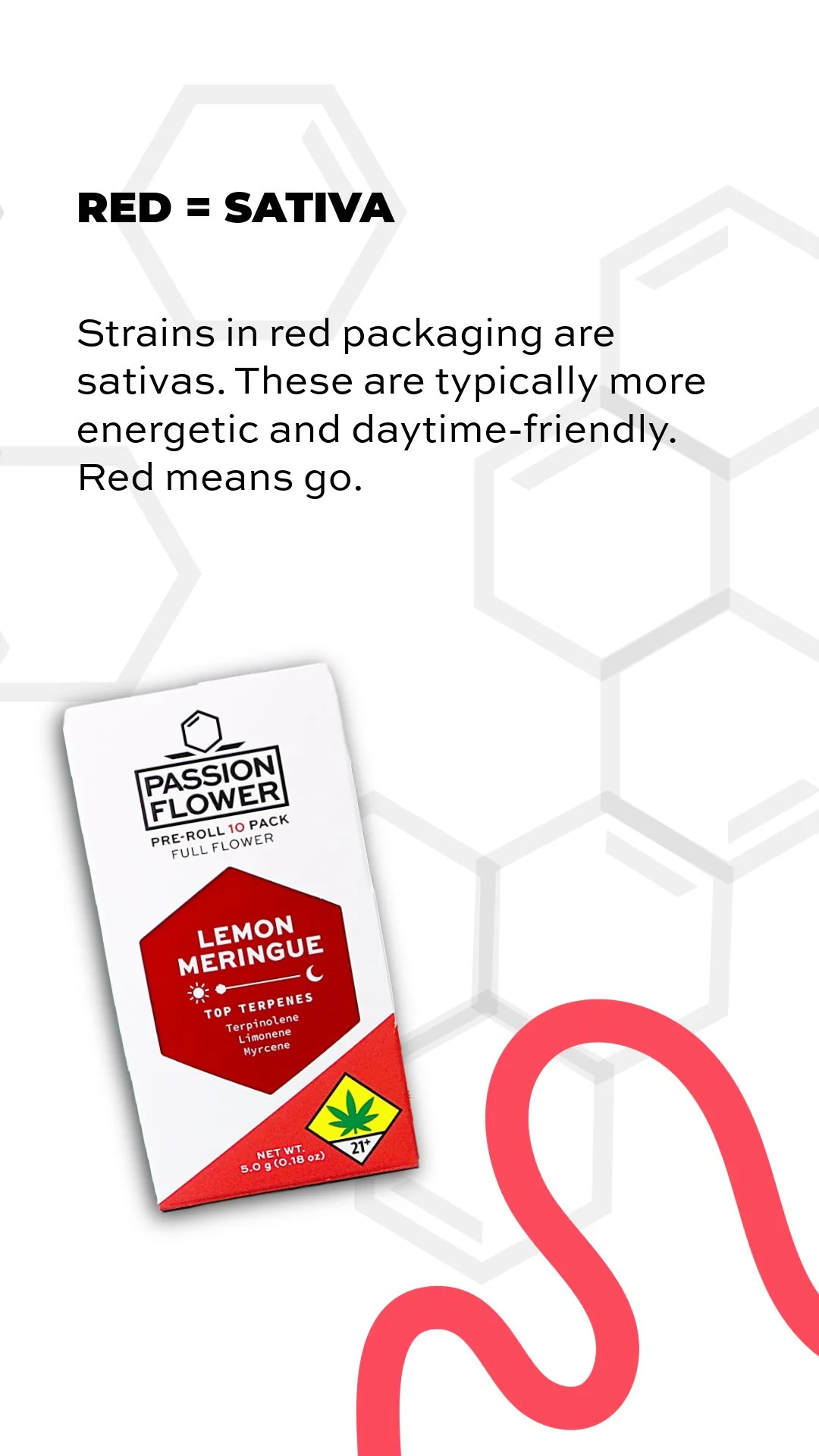 PF_Socials_Carousel_ROYGBIV_June2025_REEL-CROP-3 2.JPEG