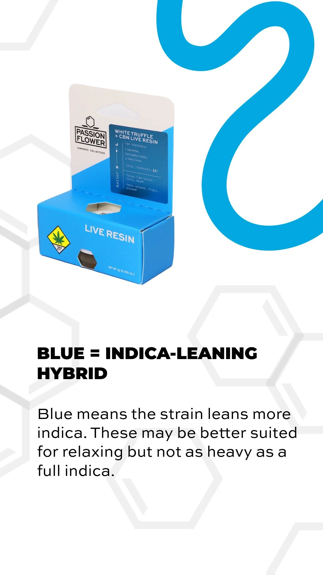 PF_Socials_Carousel_ROYGBIV_June2025_REEL-CROP-6 2.JPEG