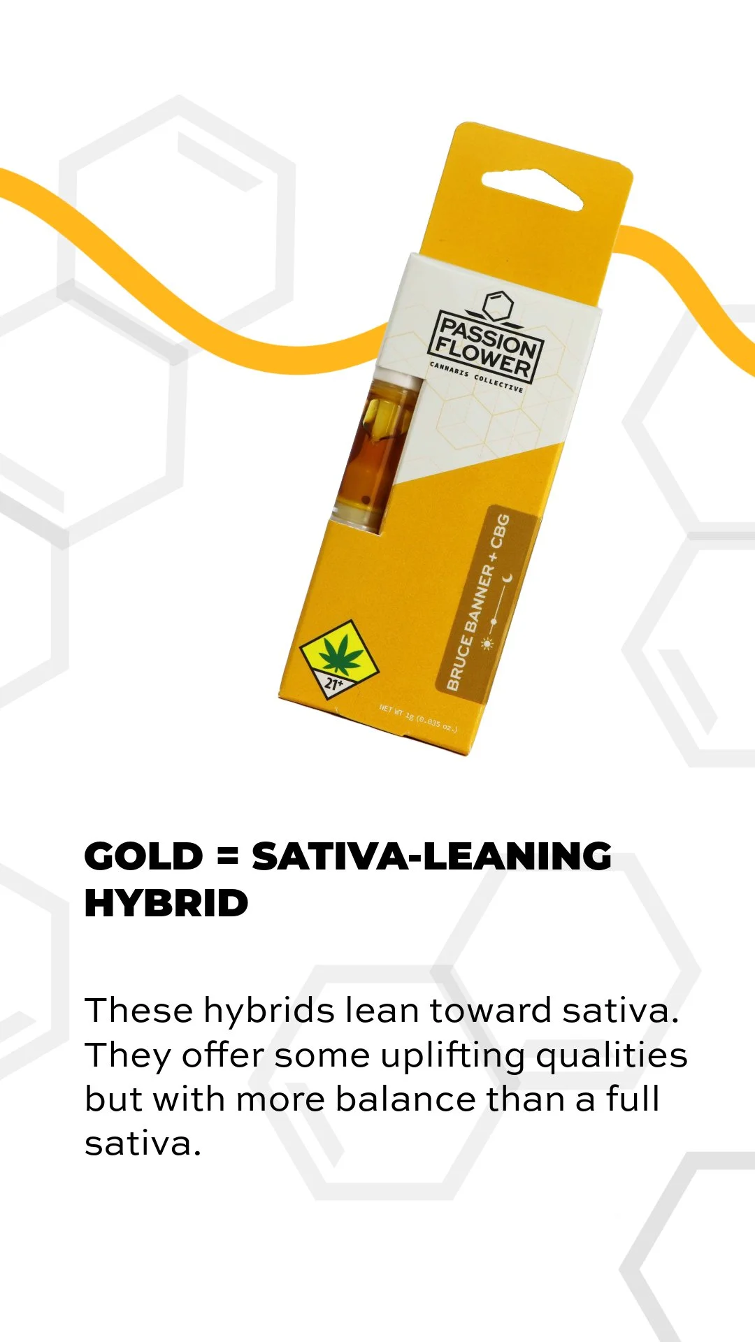 PF_Socials_Carousel_ROYGBIV_June2025_REEL-CROP-4 2.JPEG