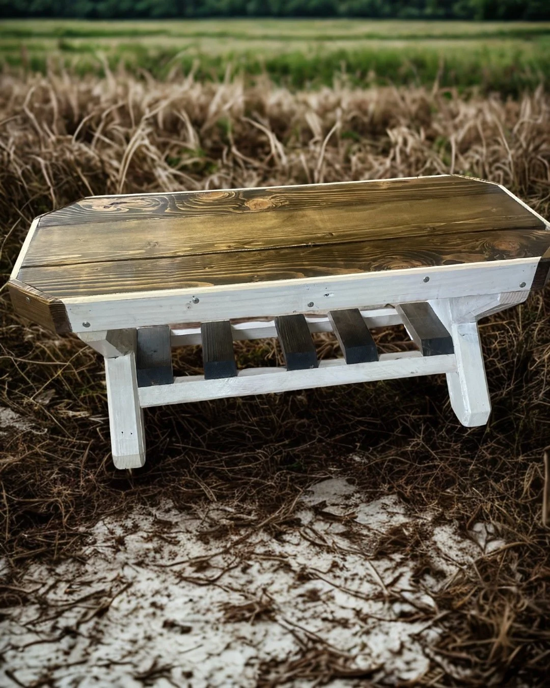 RusticRevivalBenchTablePhoto - 1.jpg
