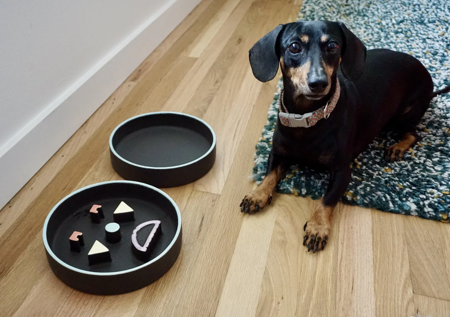 Water Bowl — CUT N CUFFED