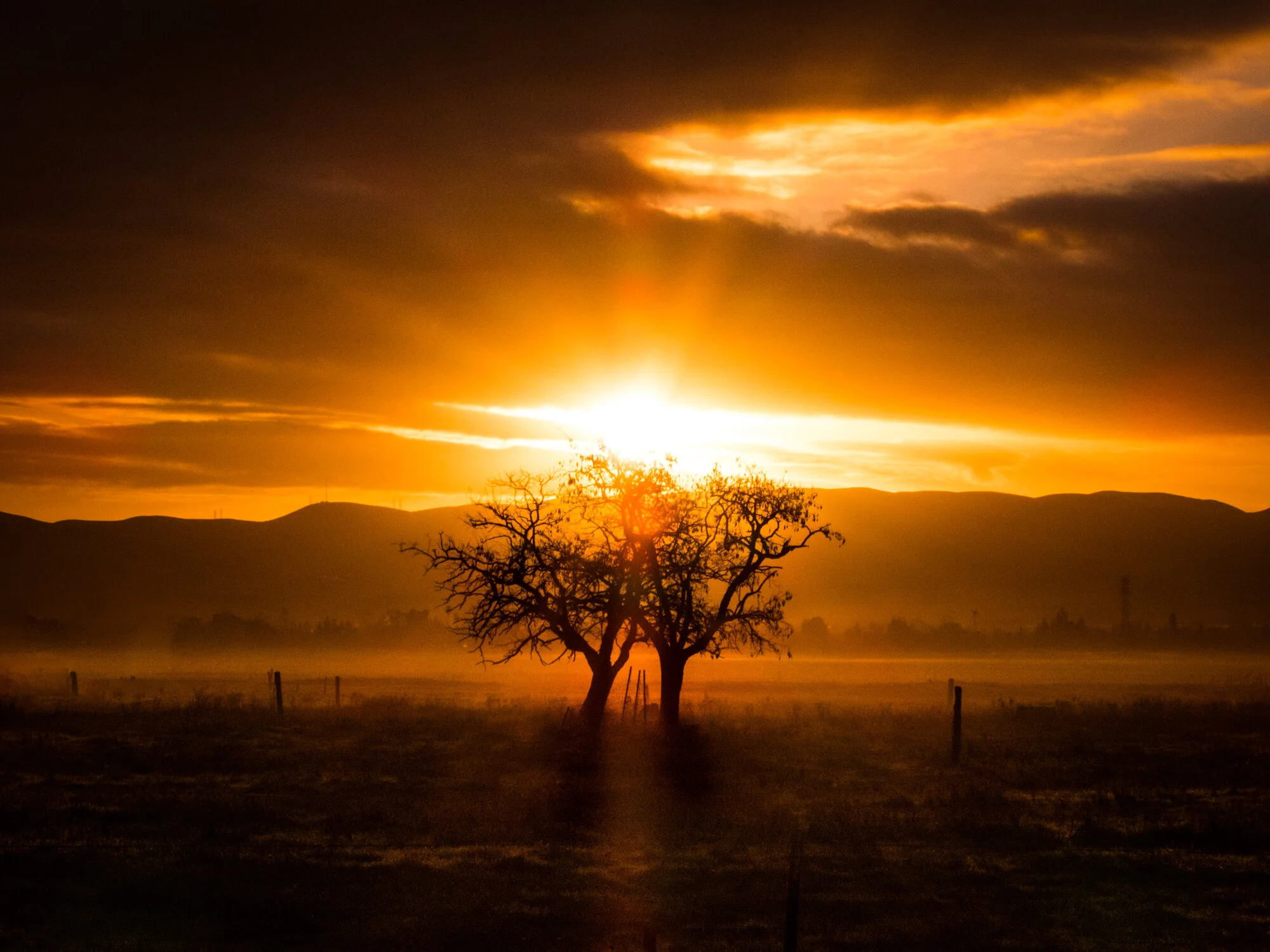 DSCN0905-Edit.jpg