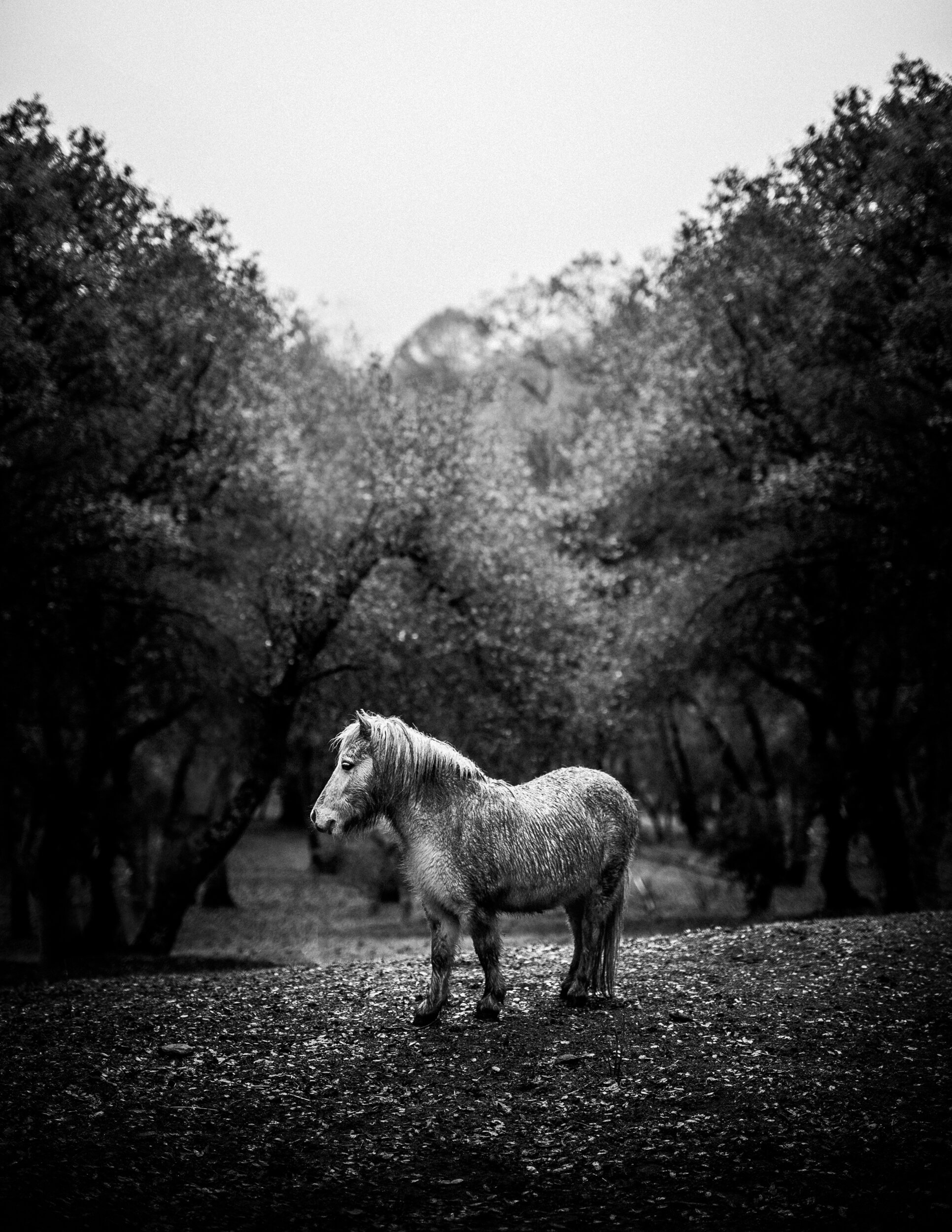DSC_8089-Edit.jpg