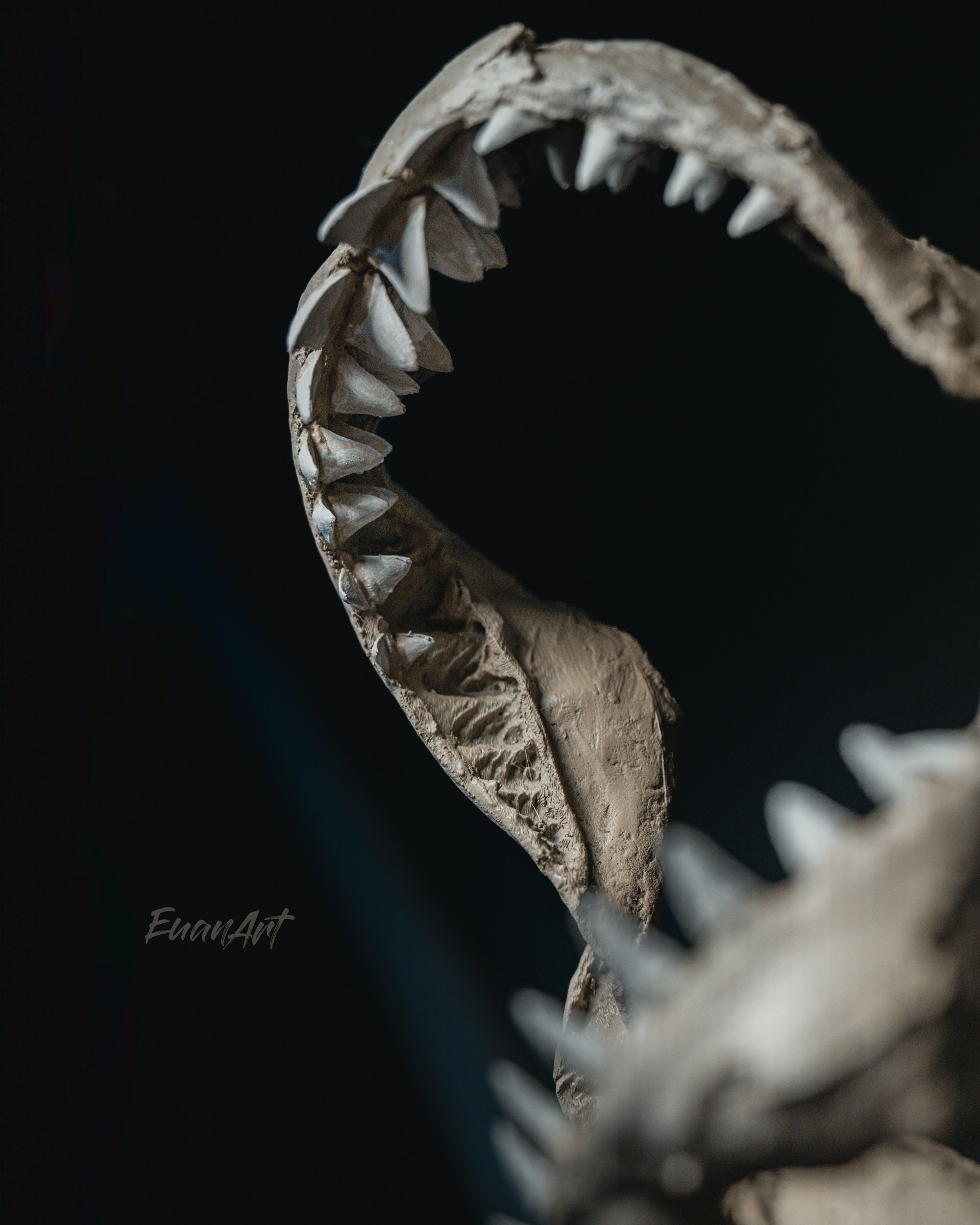 DSC_8262-Edit-Edit.jpg
