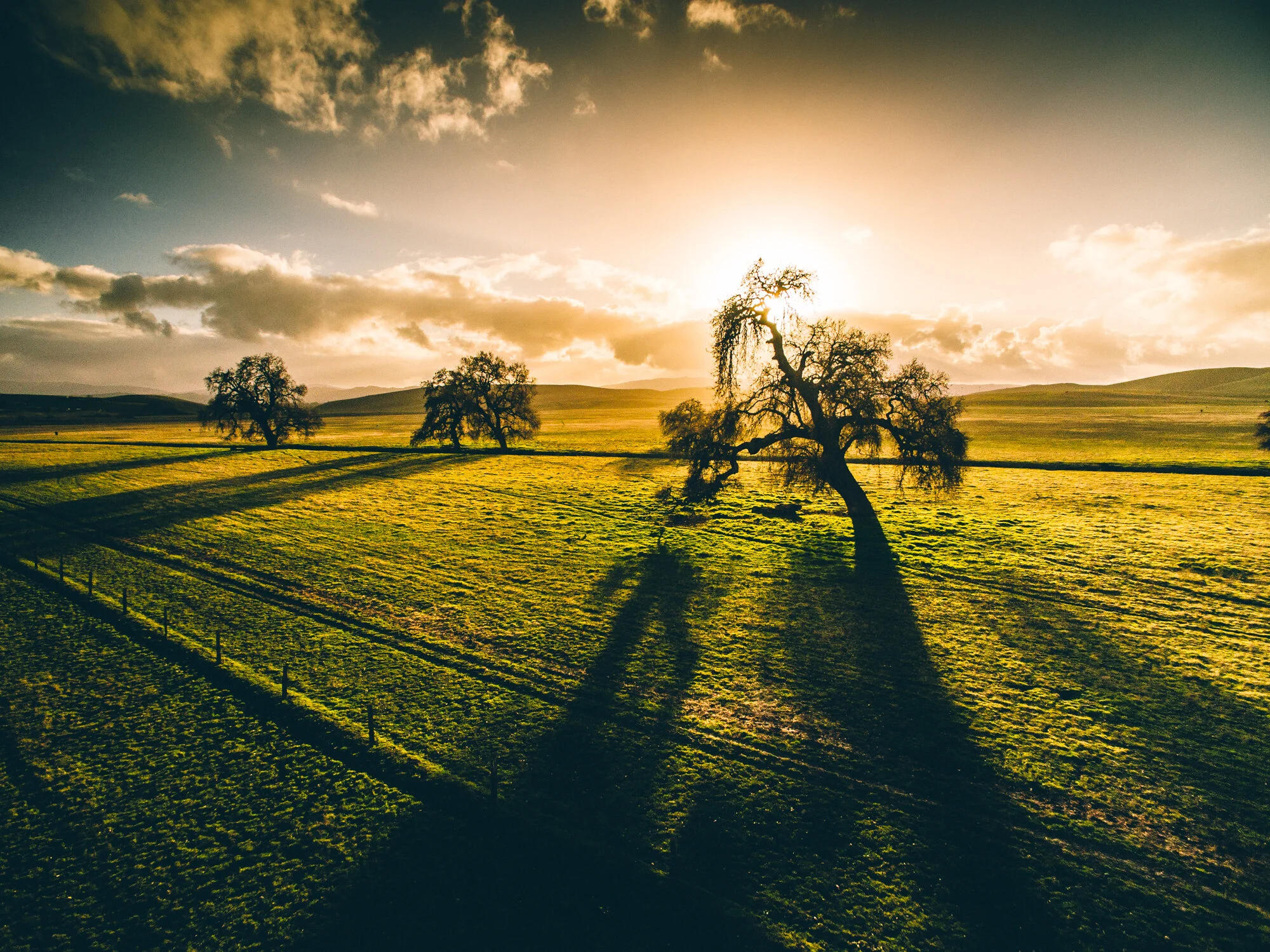 DJI_0005.jpg