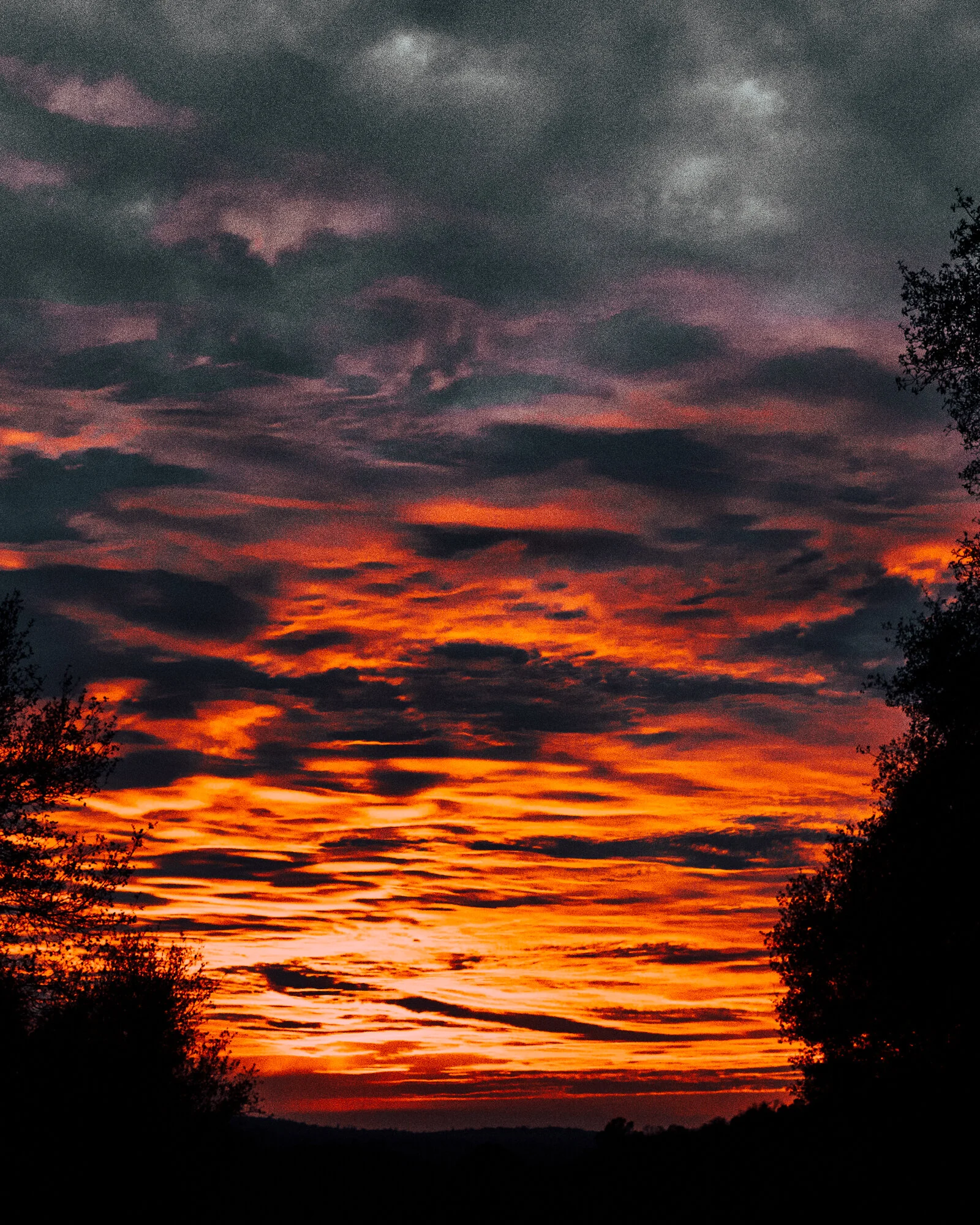 DSC_1977.jpg