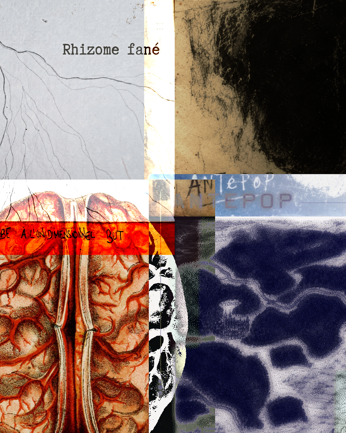 ANTEPOP - Four Albums, Four Journeys into the Unknown
