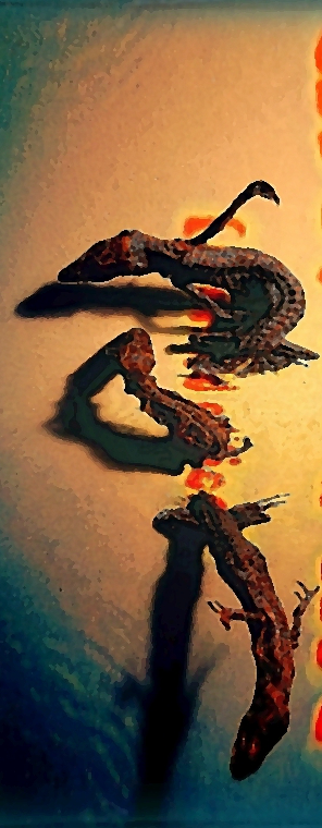 Seals From Laos - life, love &amp; Art