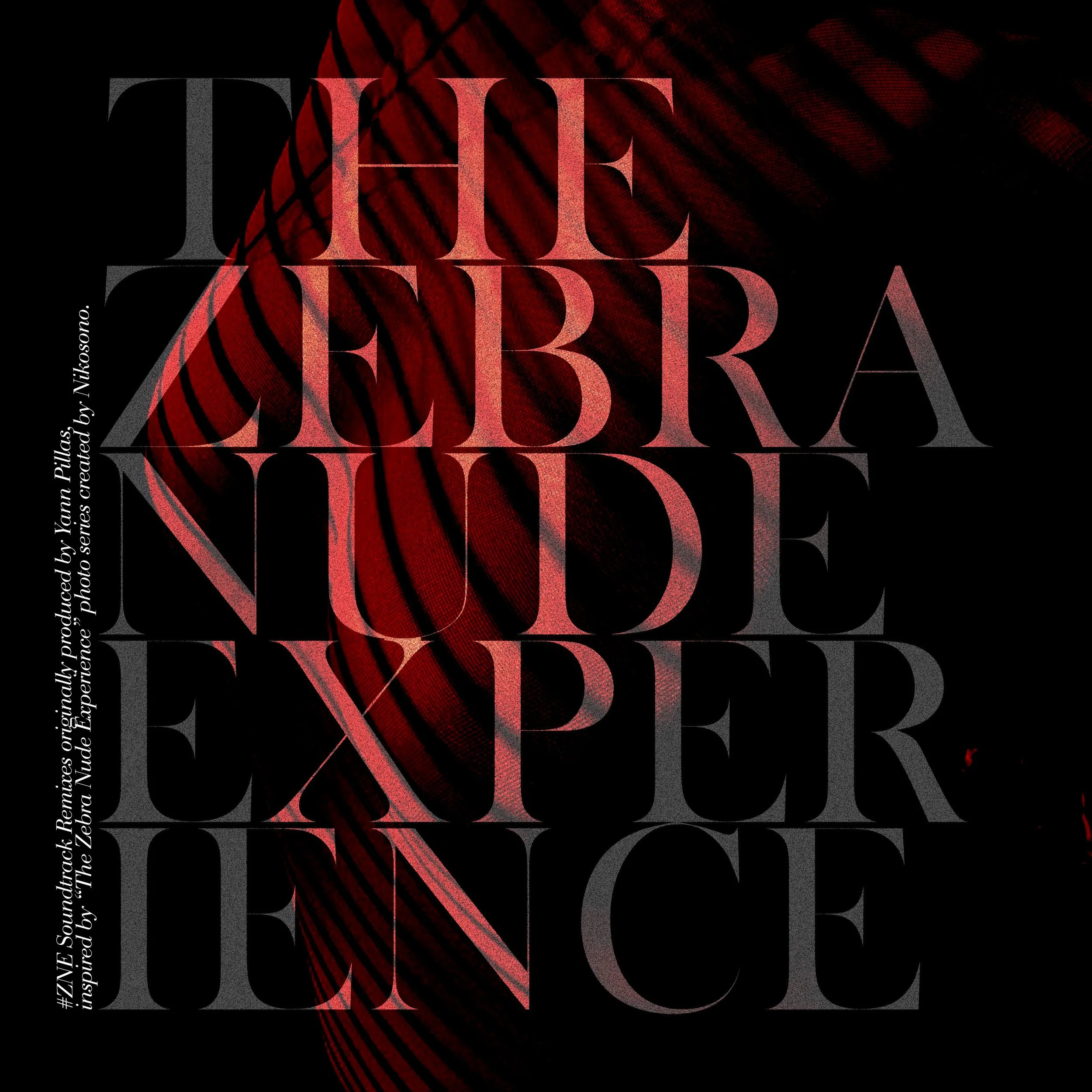 Zebra Nude Experience - Remixes