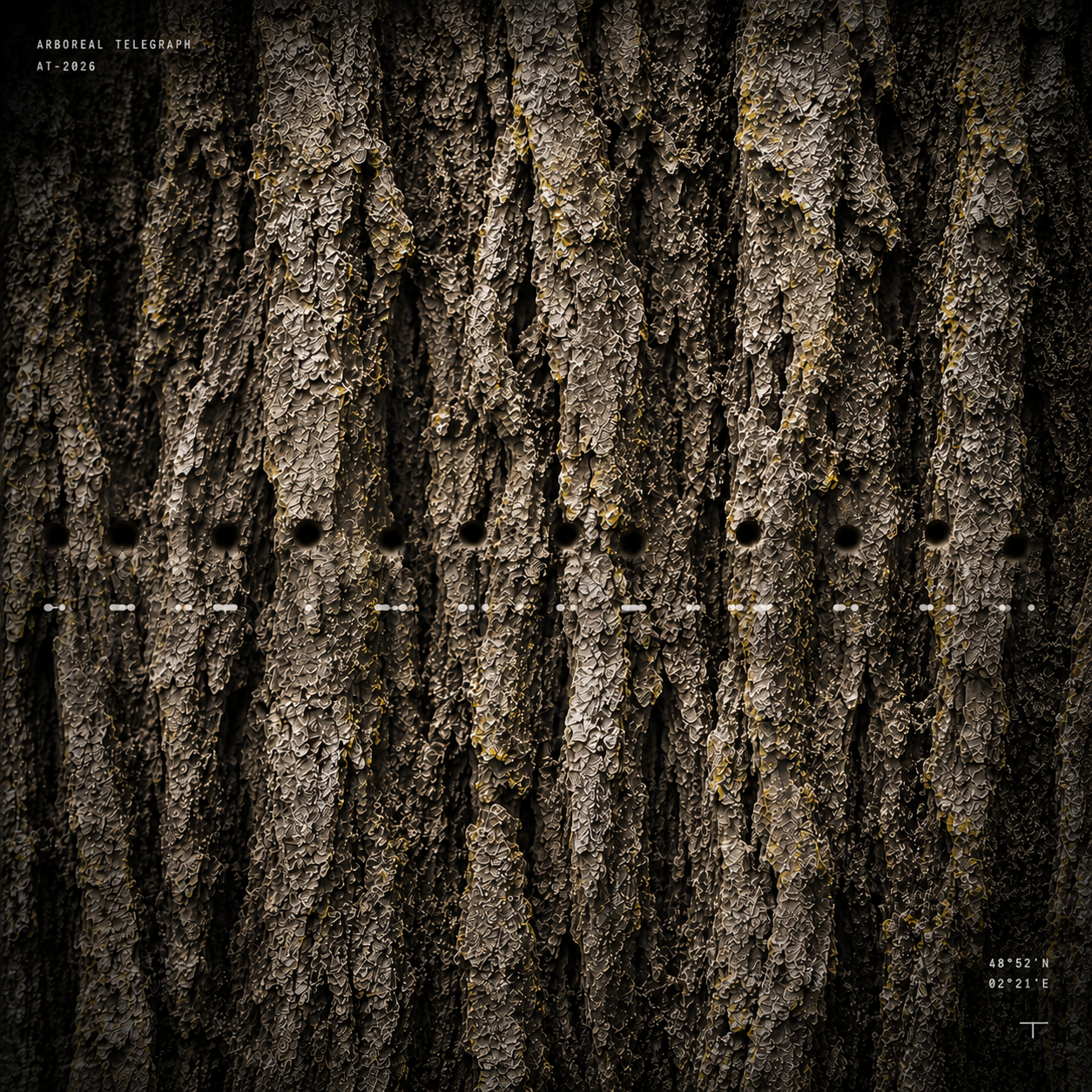 ARBOREAL TELEGRAPH