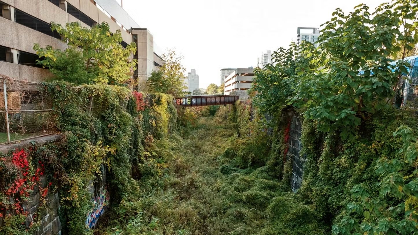 Artist Residency At The Rail Park