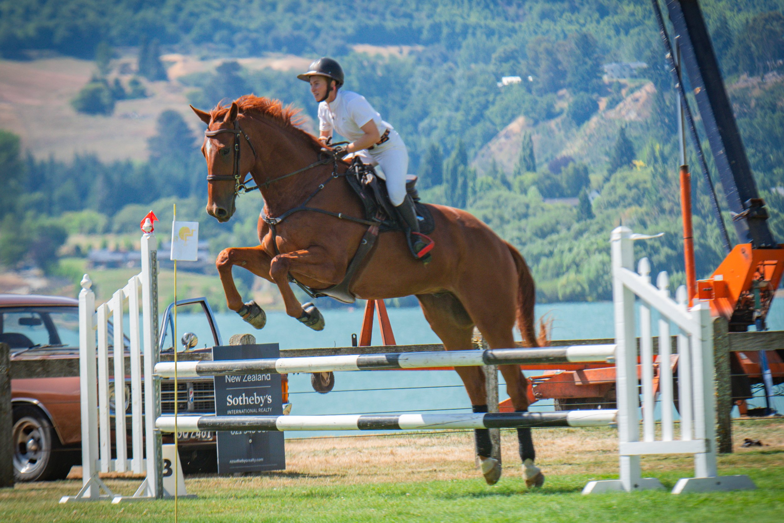 Ardlussa Equine