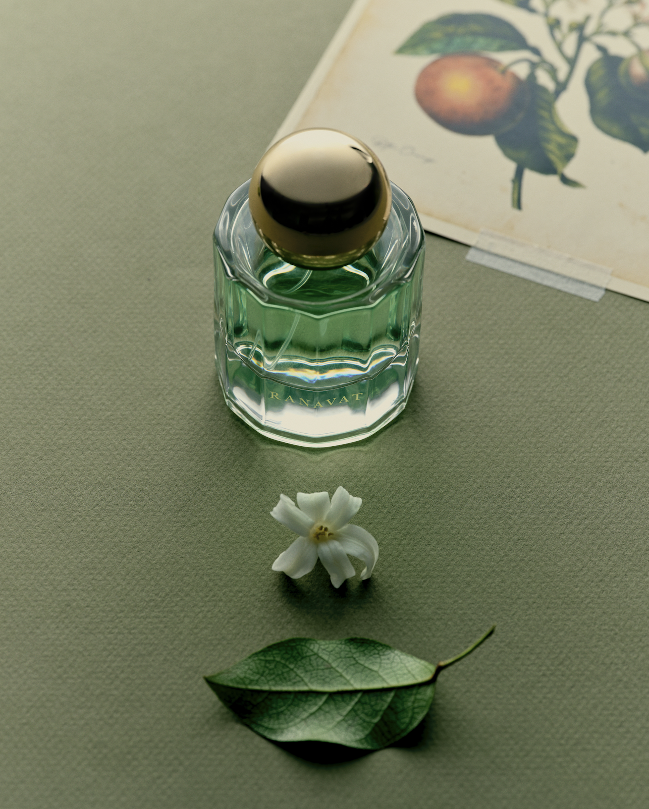 Screen Shot 2025-12-10 at 2.46.05 PM.png