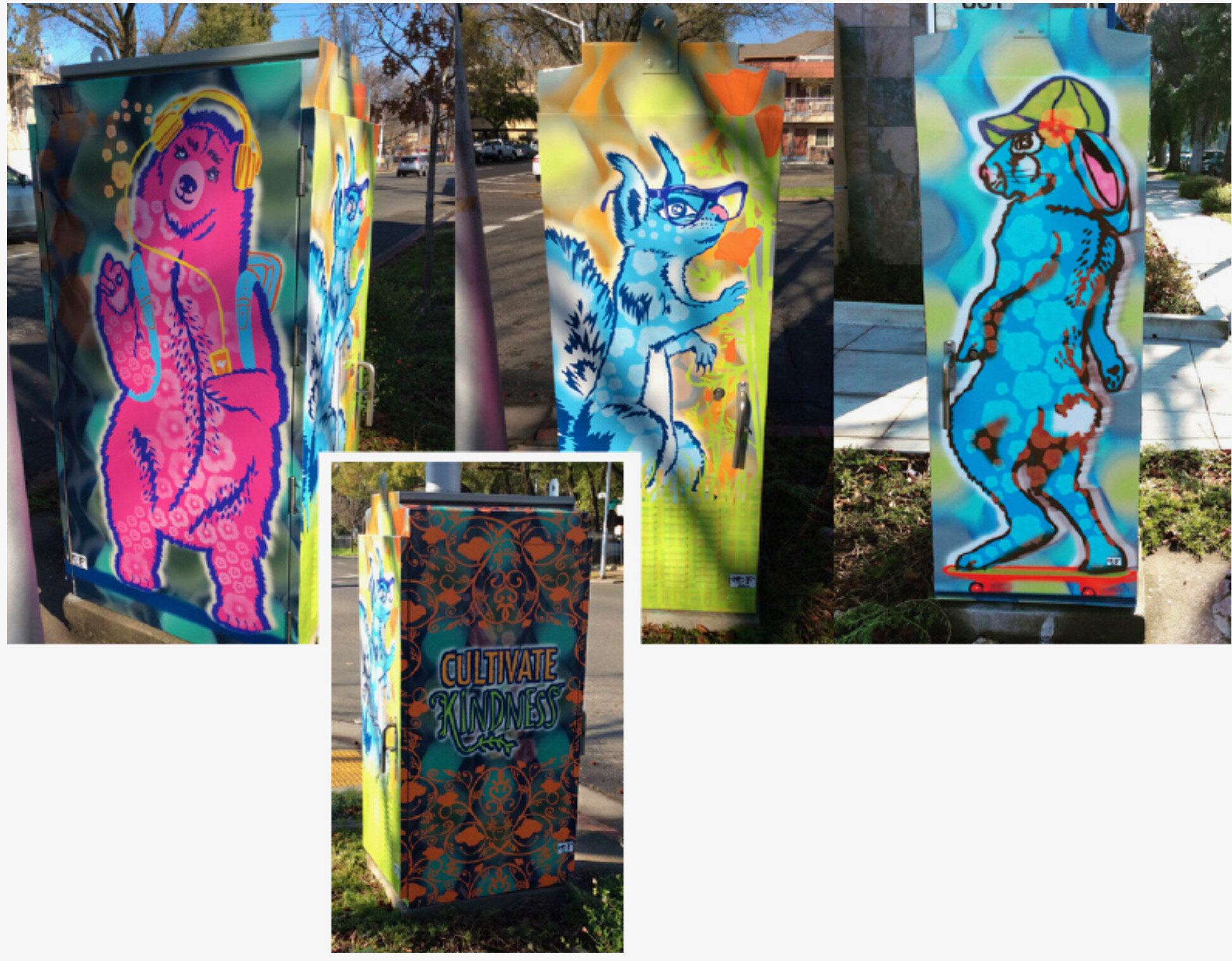"Cultivate Kindness and Diversity," City of Sacramento, CA
