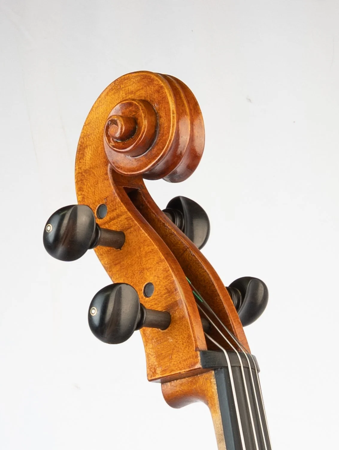 Close-up of a violin's scroll and tuning pegs against a white background.