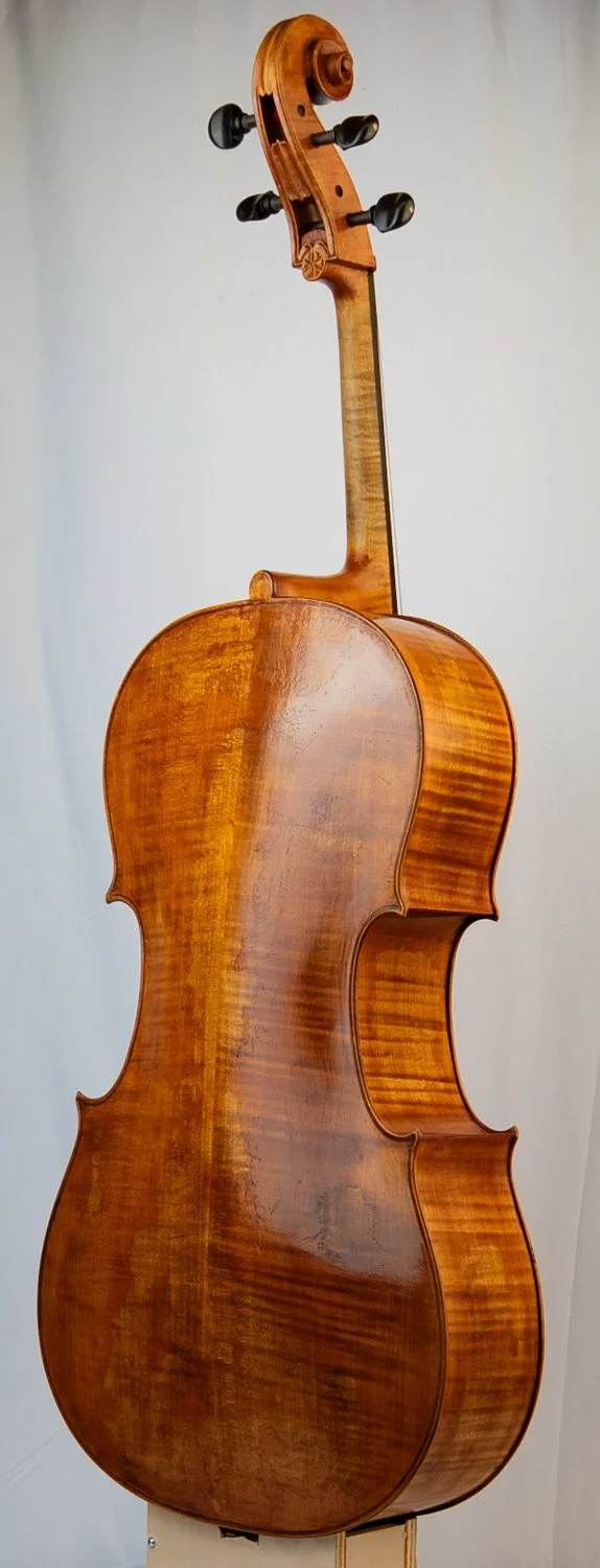 Back of a polished wooden cello with tuning pegs.