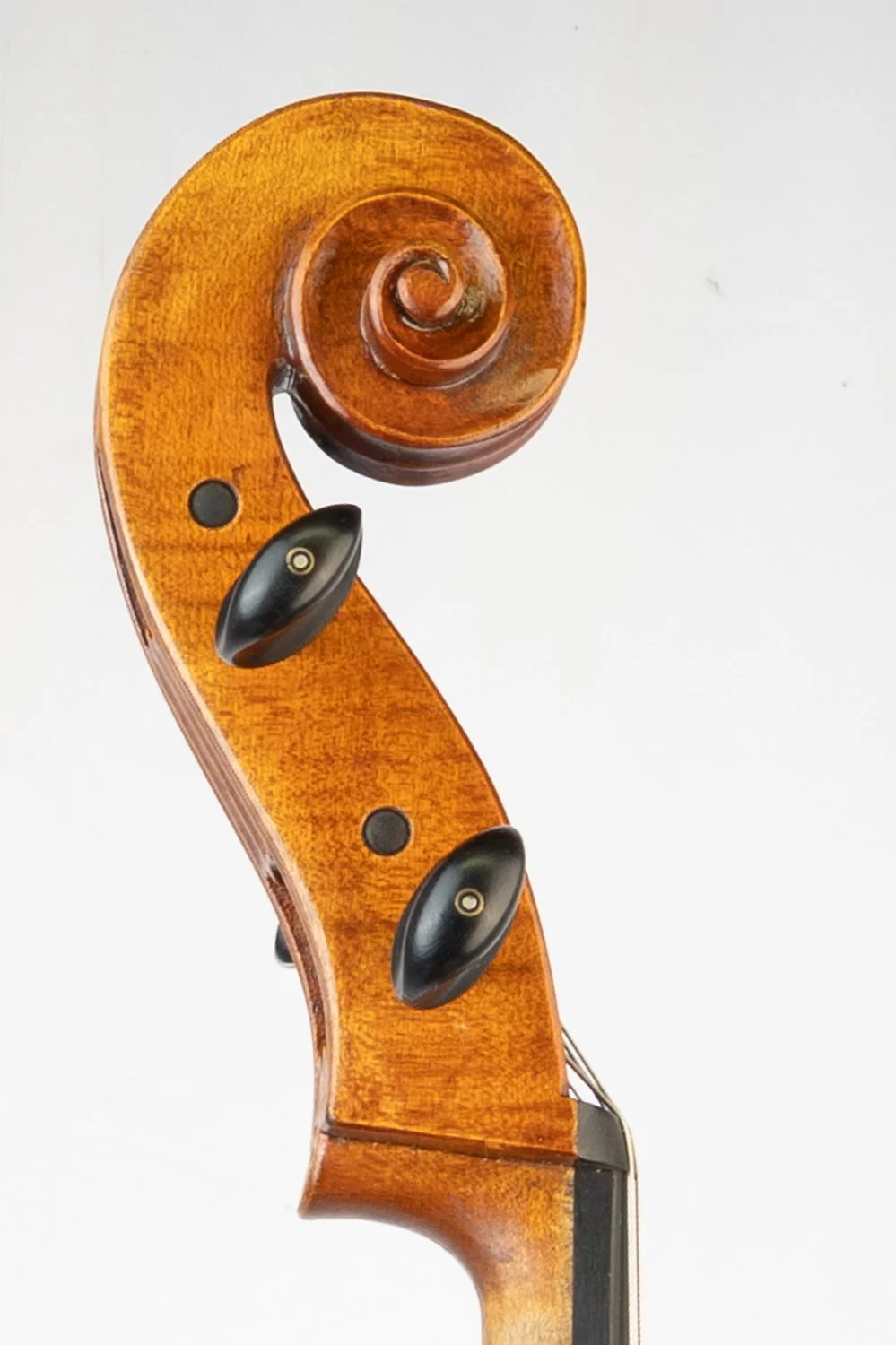 Close-up of a wooden violin scroll and tuning pegs against a plain white background.