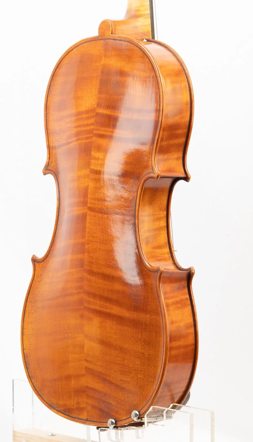 A polished wooden violin standing upright against a white background.