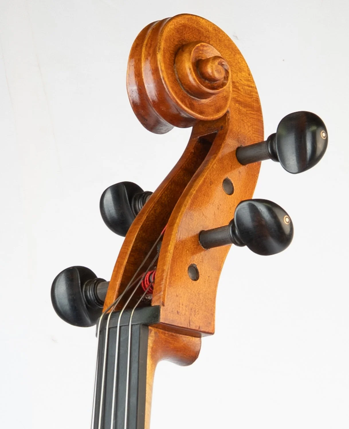 Close-up of a violin scroll and tuning pegs against a plain white background.
