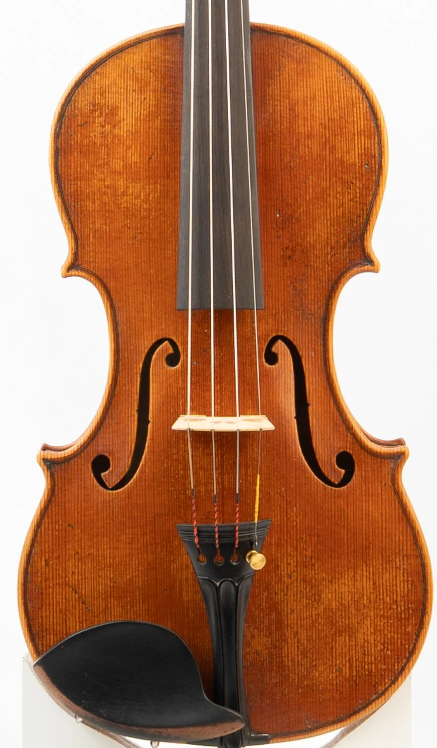 Guarneri (9).jpg