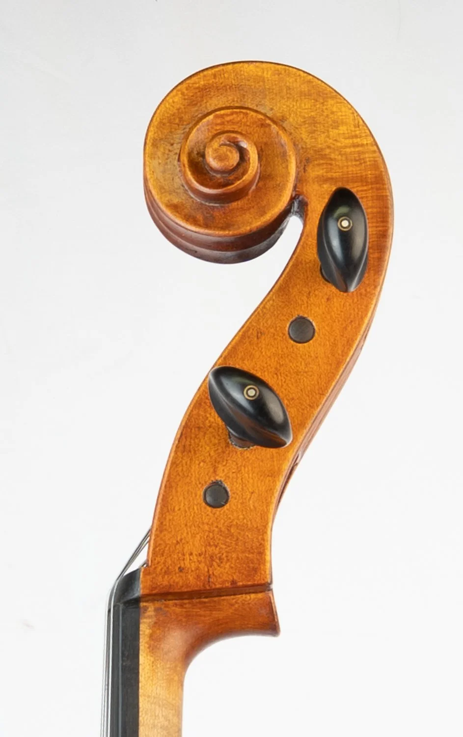 Close-up of a violin's scroll and tuning pegs on a white background.
