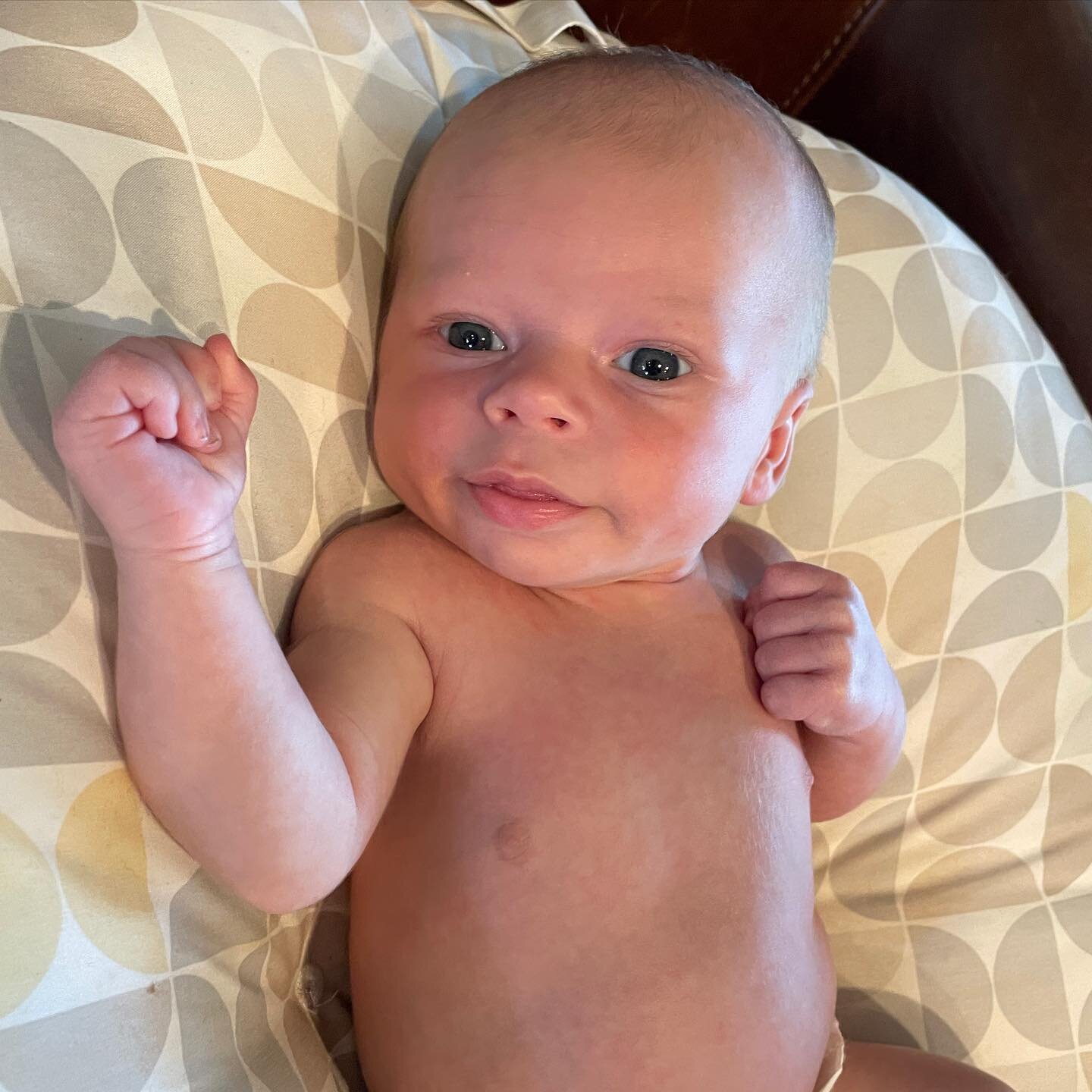 We don&rsquo;t mean to brag about EPD&rsquo;s, but this little bull is growing like crazy! 

He&rsquo;s gained 2 lbs in 1 month - 1.07oz/day (the average for babies is 0.8 oz per day &hellip; yes I looked this up). 

Weighing 7lbs 1 oz at birth, he&r