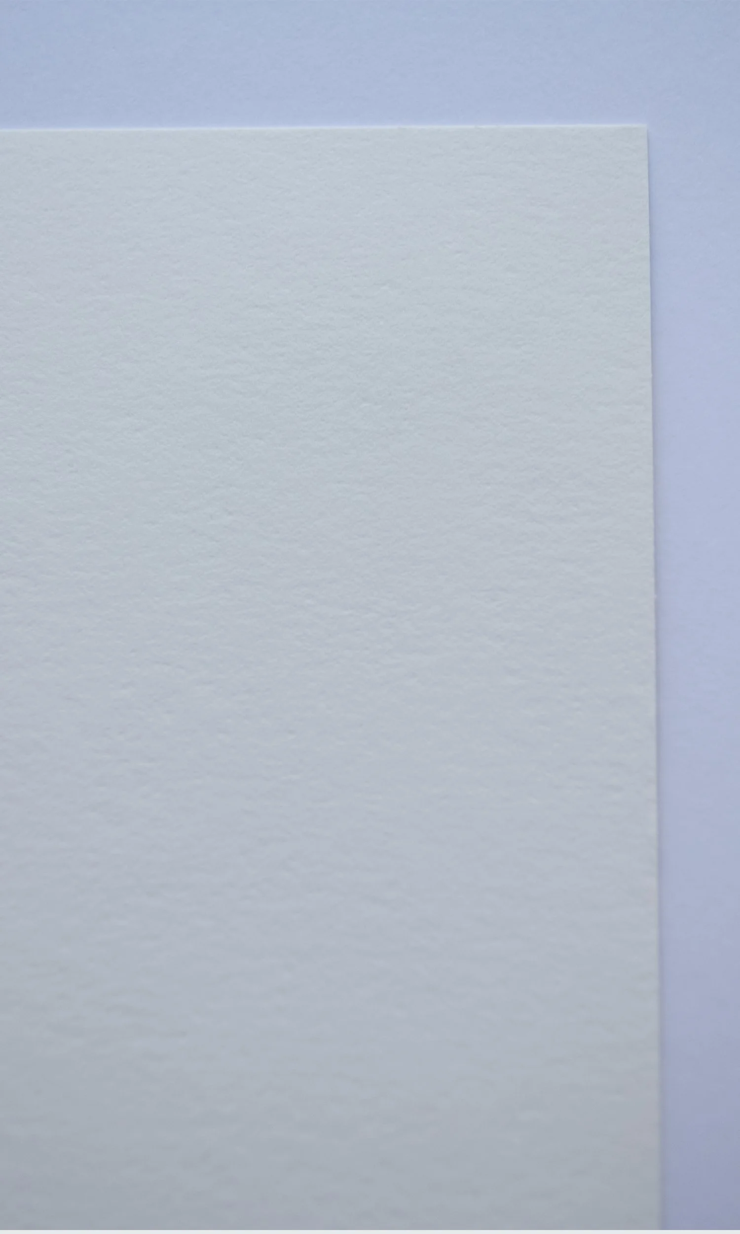 back of paper.jpg