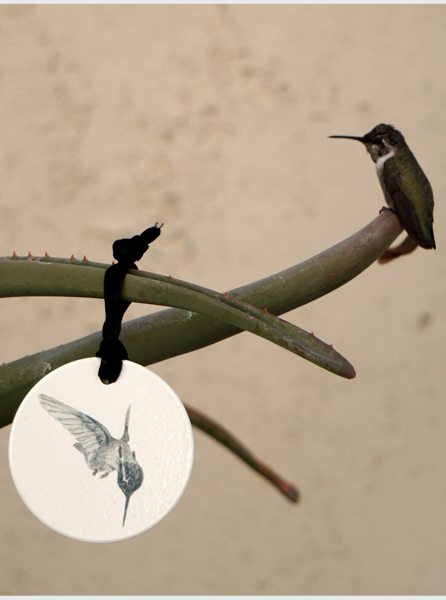 I'll be honest with you, I decorated for Christmas on the 2nd of November. I couldn't wait until Thanksgiving because I was way too excited to get into the holiday spirit.
The Lights, the tree and my favorite part, the ornaments. Every year I buy a n