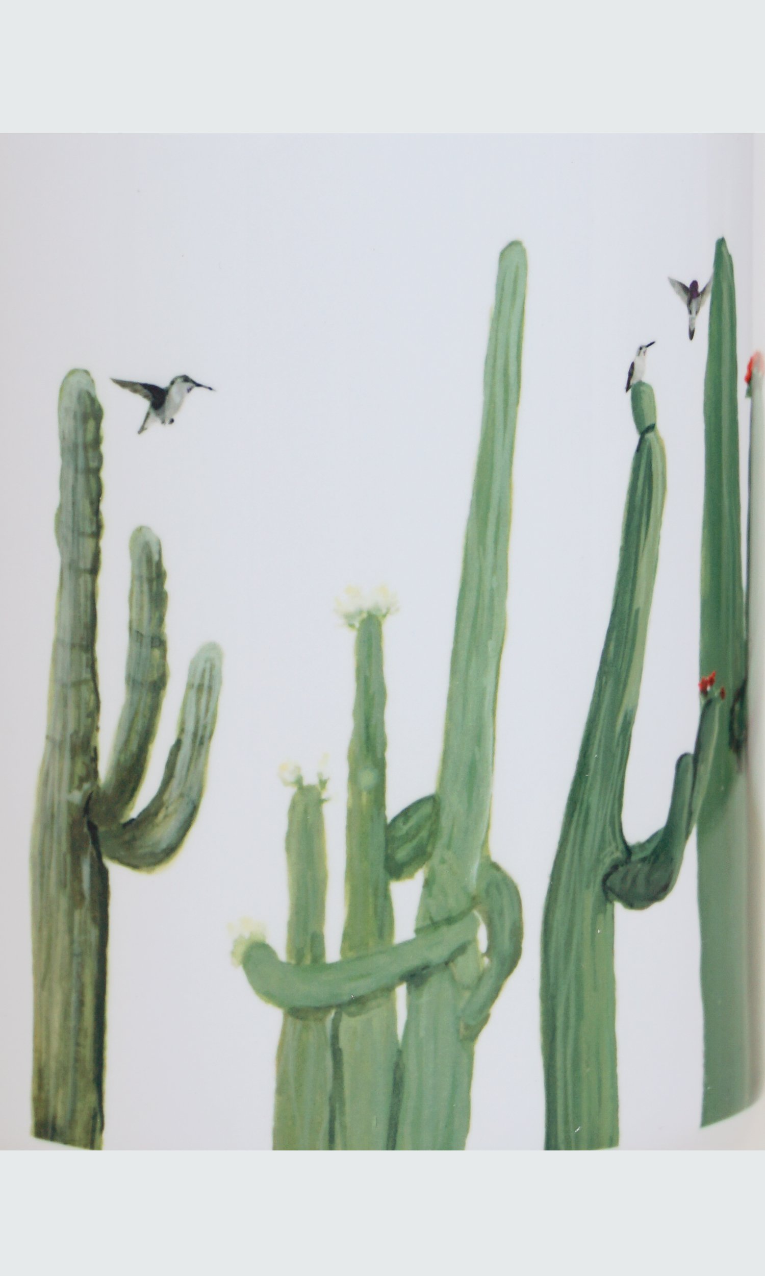 cactusclose.jpg