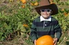 5 Fun Family Activities To Enjoy The Fall Season Lou Adventures