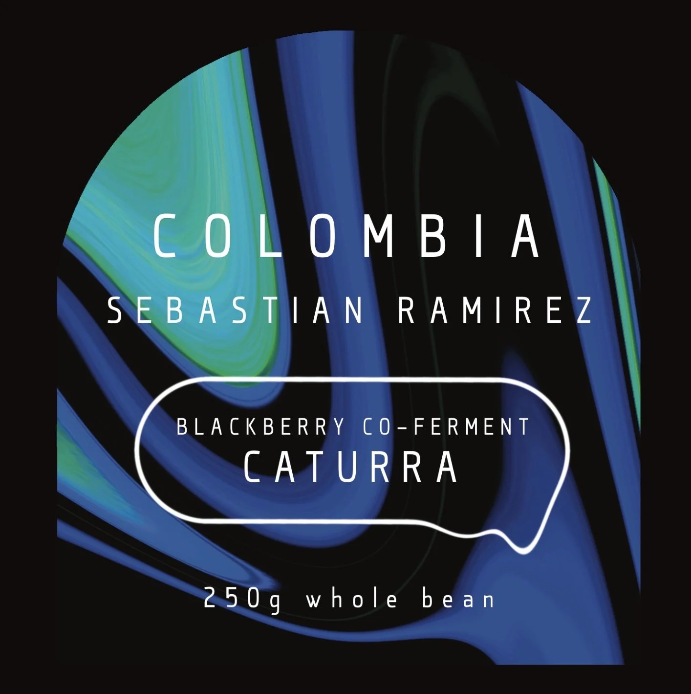 SEBASTIAN RAMIREZ - BLACKBERRY CATURRA