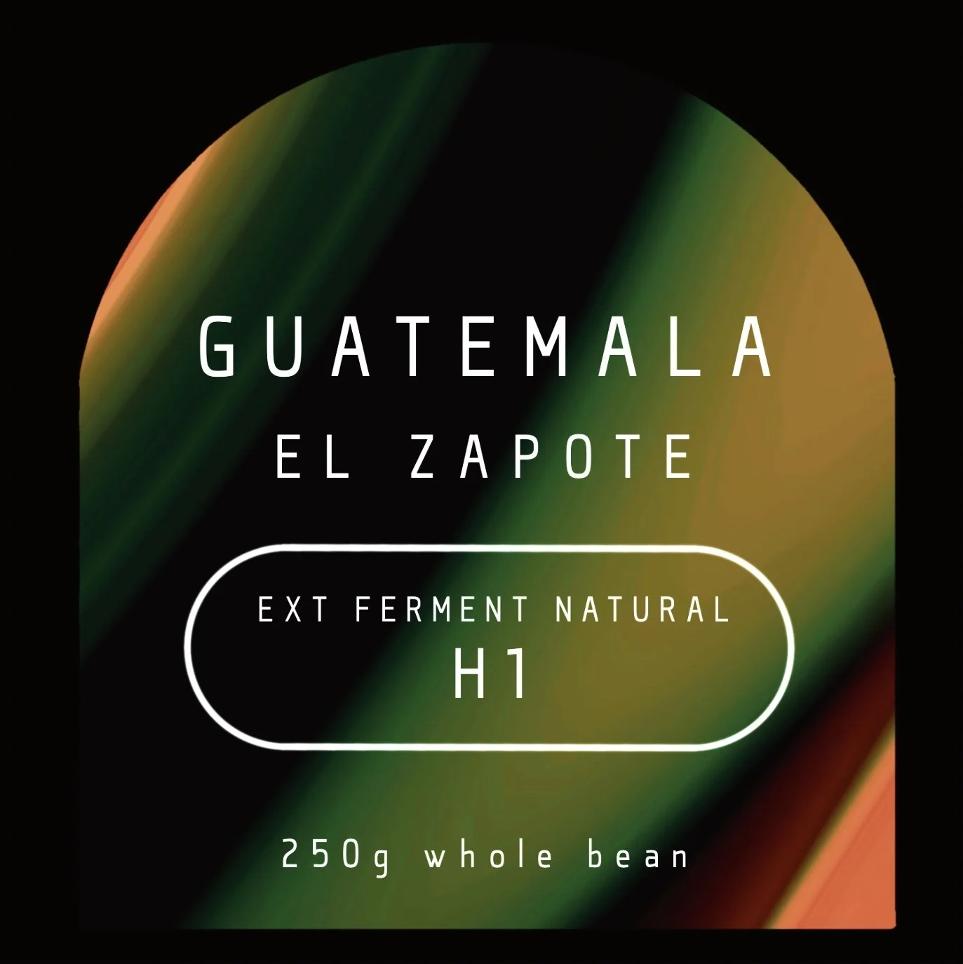 GUATEMALA - Extended Fermentation Natural H1