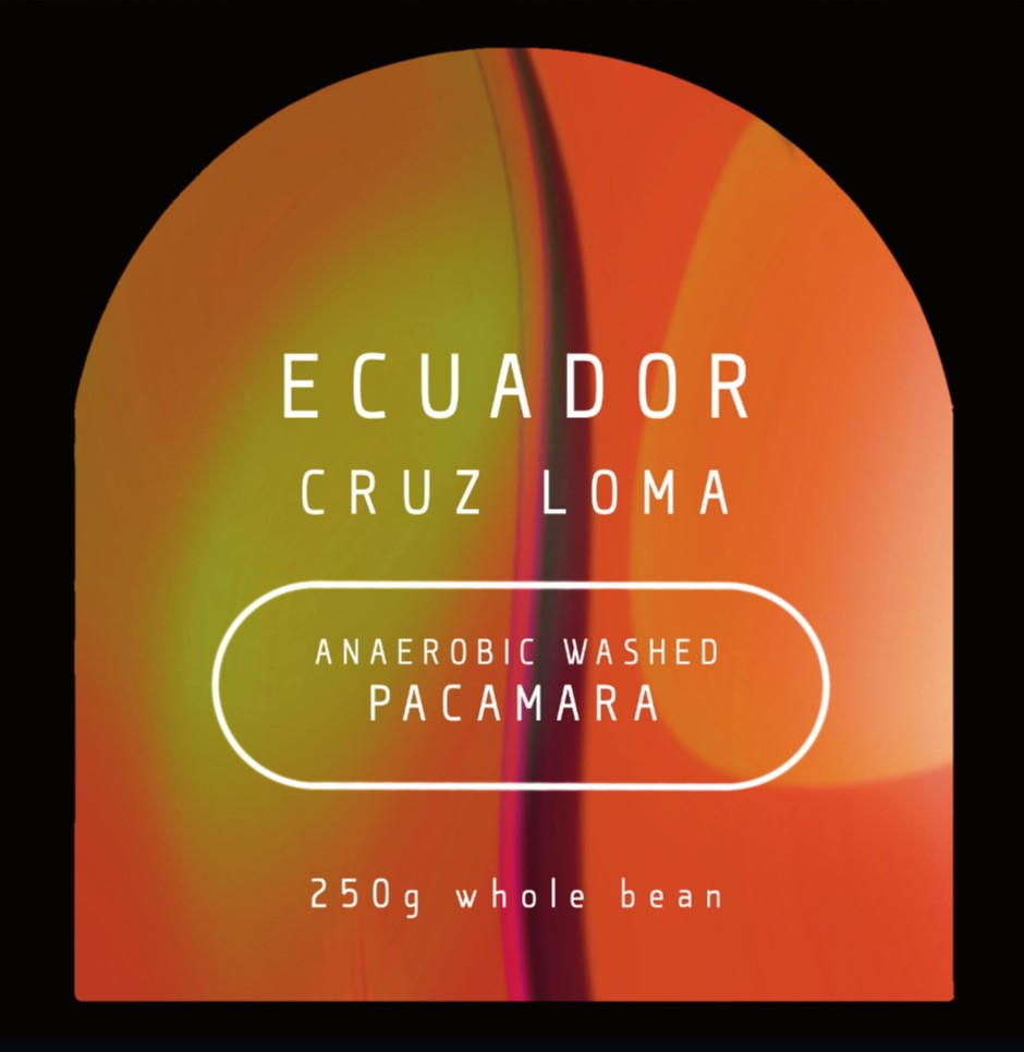 ECUADOR - Galo Morales - Pacamara