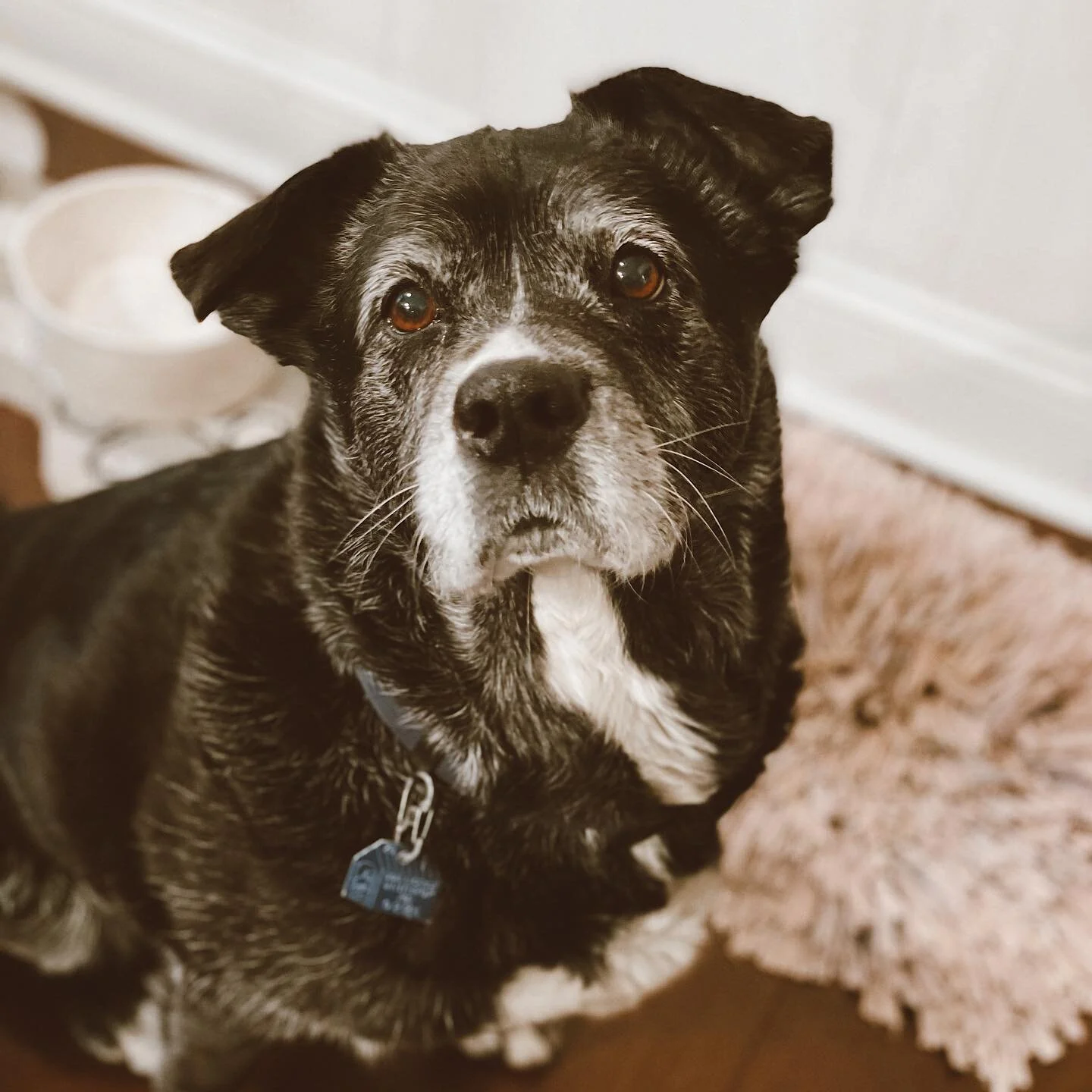 Hello again, Fern 🌿