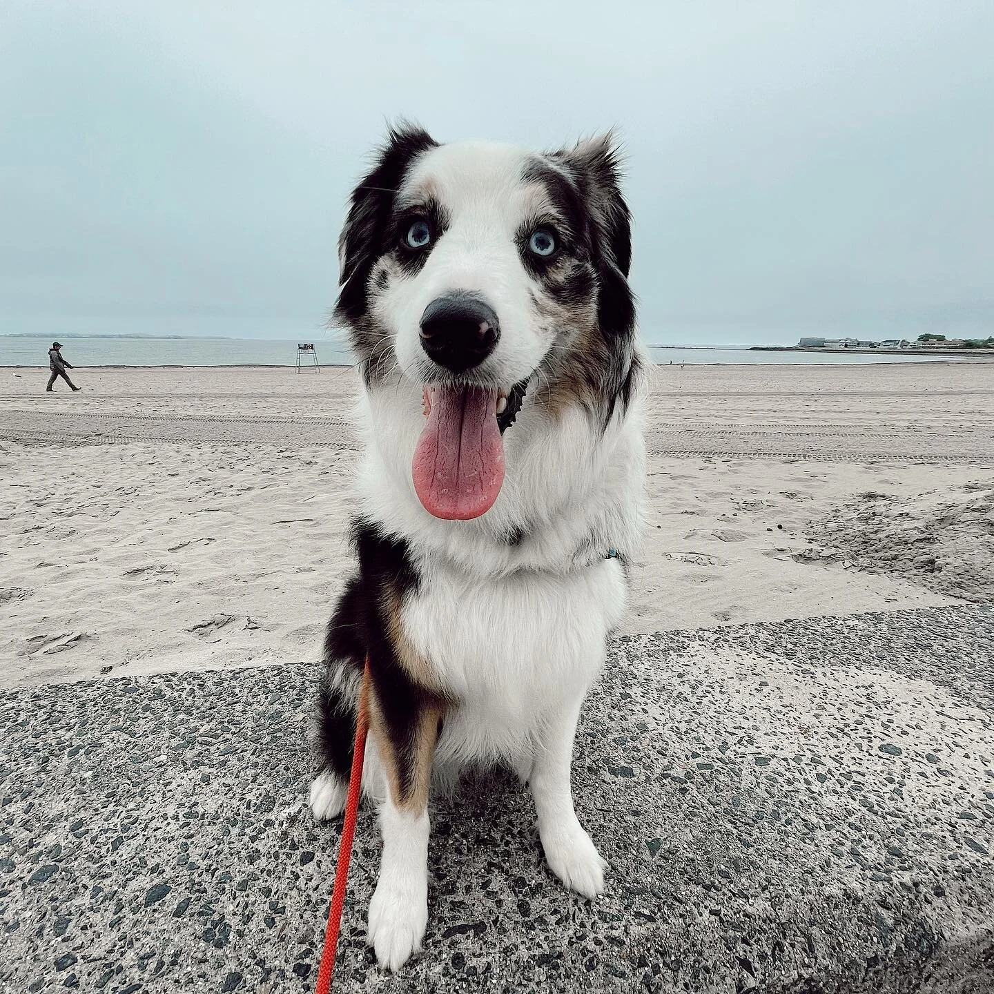 Some favorites from our rainy walk ☔️