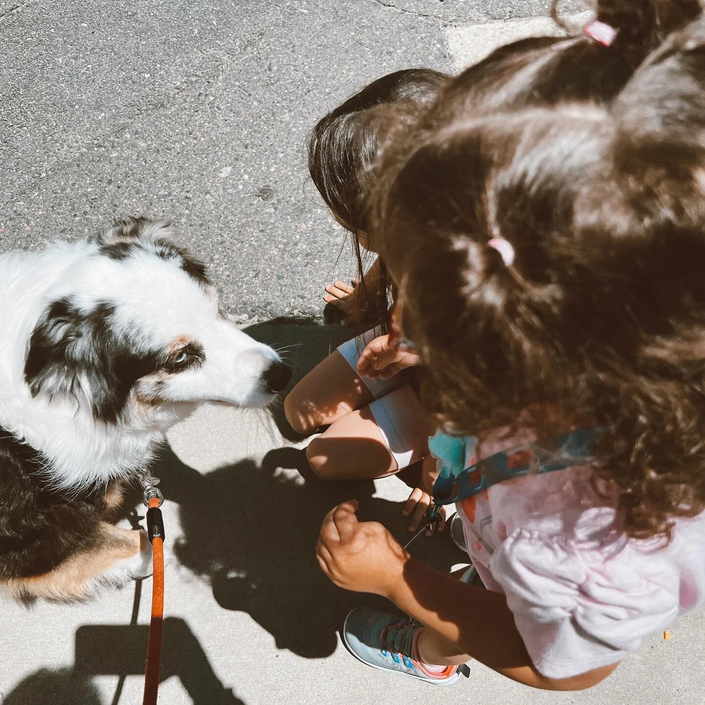 Meet and greet with Luciana &amp; Aurora 💕