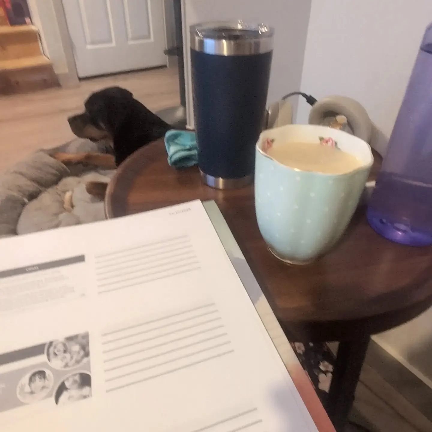 Prepped for EMDR trauma training like a full tea party hosted by my nervous system.

Hydration, honey-lemon for the sore throat, caffeine for 7:30 a.mm start time, and my weighted blanket for the win.

We regulate before we help others regulate.☕
