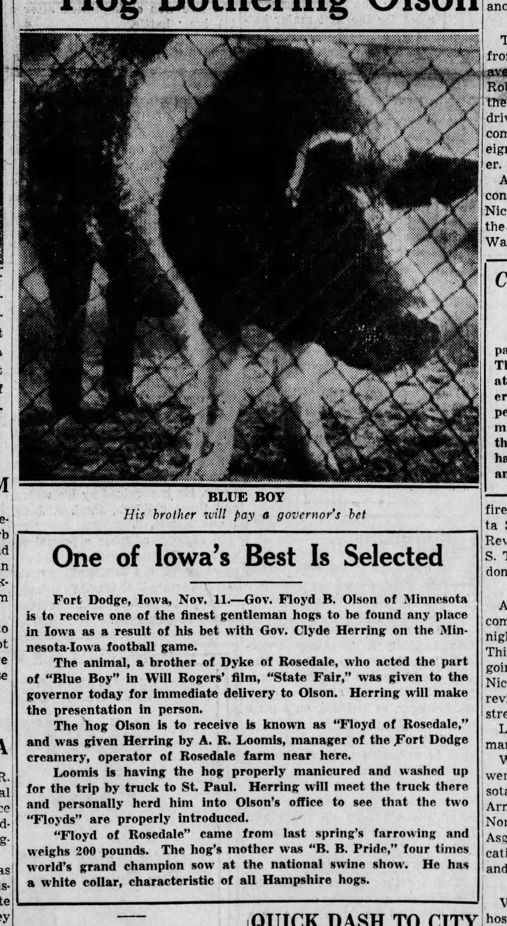 1935 best hog selected.jpg
