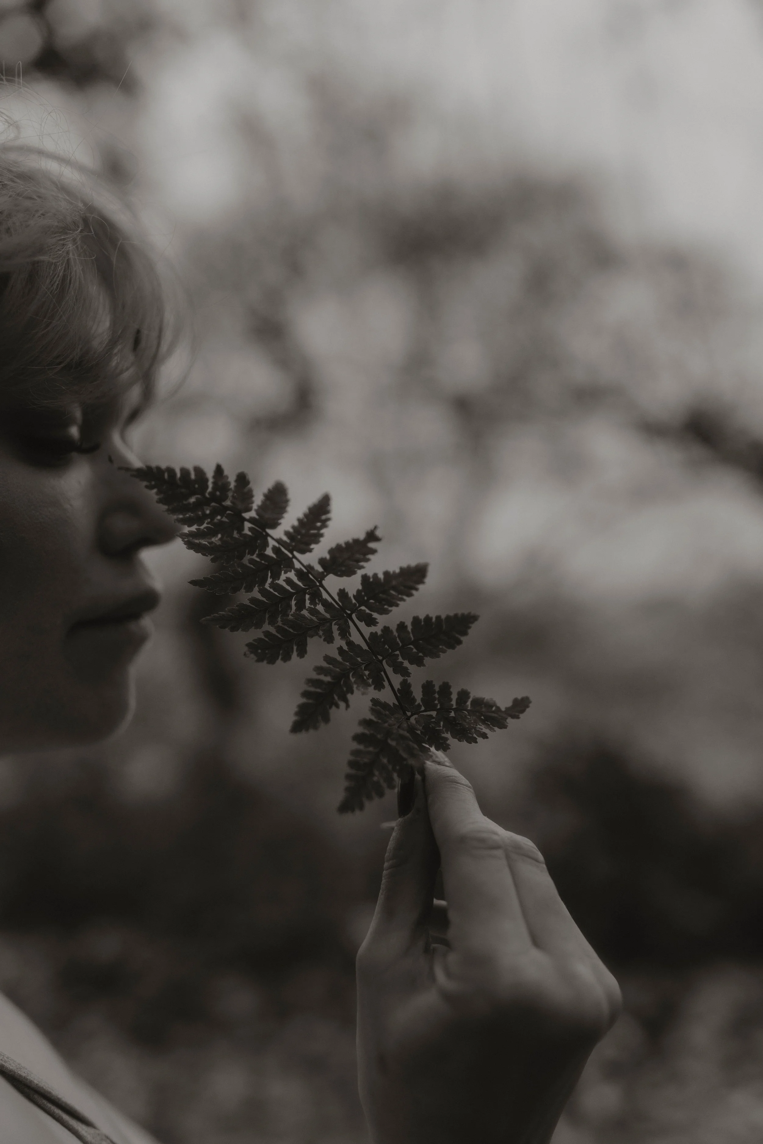 Lucy P - Sense, Smell, Meditation.jpg