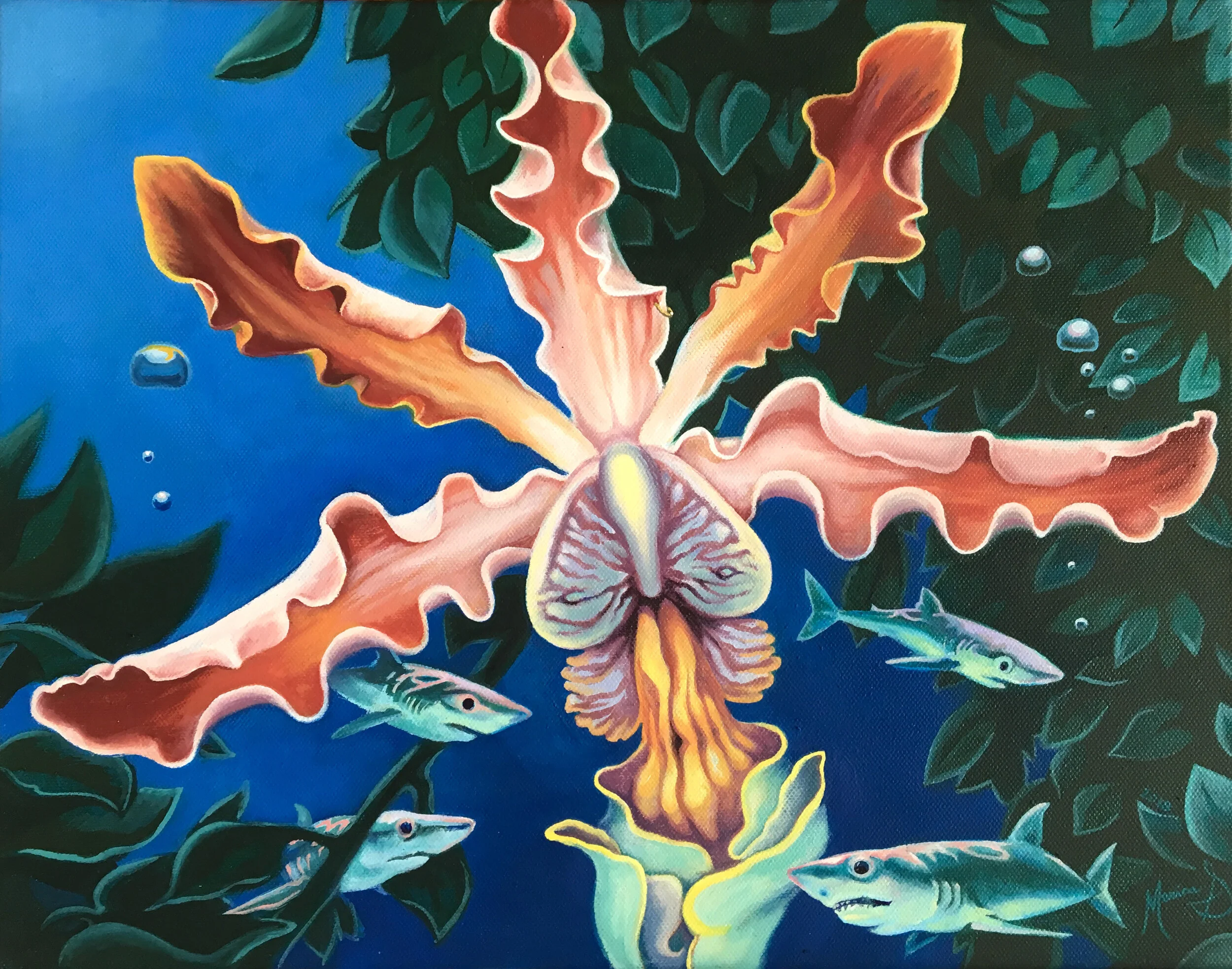 Mako. Oil on Canvas. 2018. 